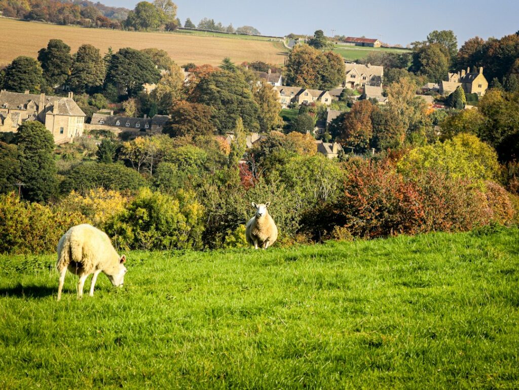 Green Cotswold countryside with sheep and a village below