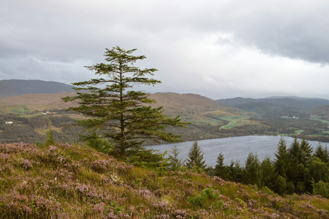 Loch and Highland landscape along the Great Glen Way
