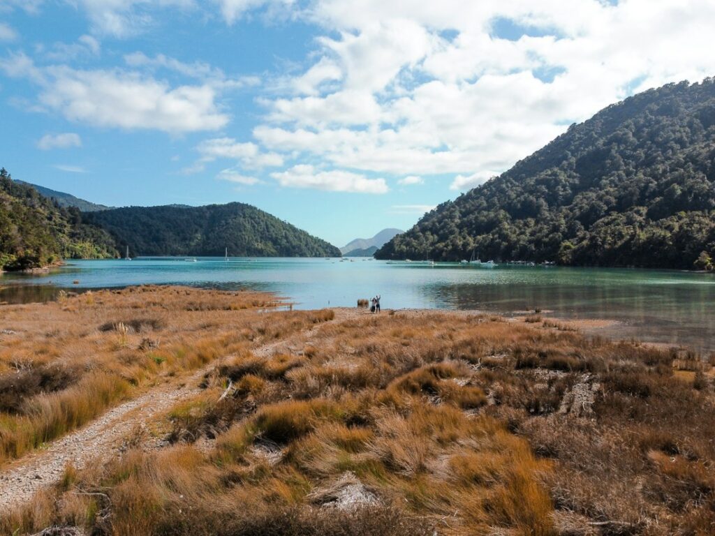 Green hills and blue water in New Zealand's Marlborough Sounds