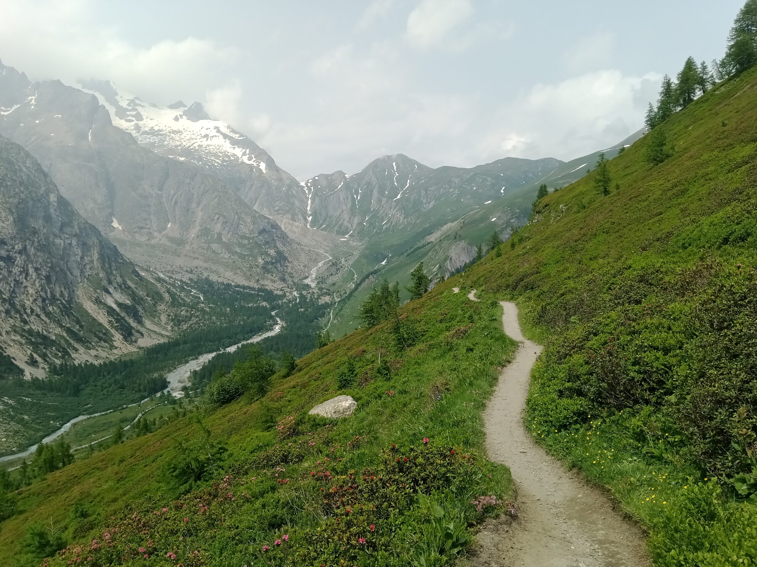 Tour du Mont Blanc trail crossing green alpine slopes in Val Ferret, Italy