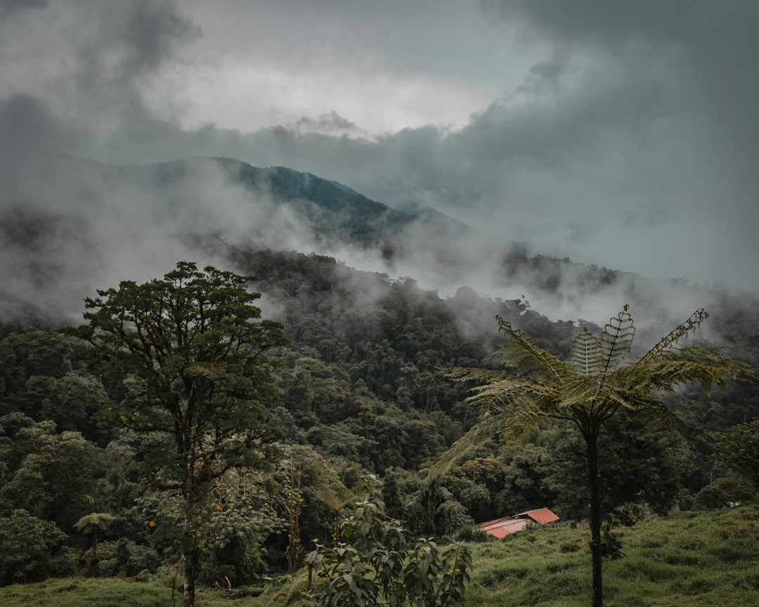 Cloud and forest in Costa Rica, illustrative regional scenery
