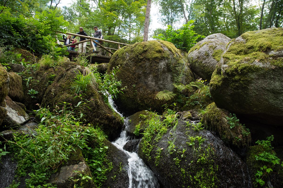 Wooden footbridge and moss-covered boulders at Gaishöll waterfalls