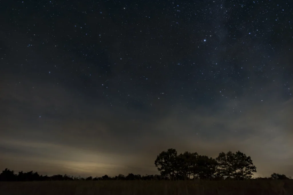 Stars above the meadow and silhouetted trees at Big Meadows in Shenandoah National Park.