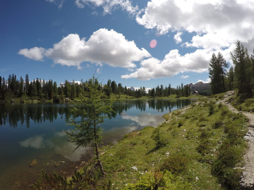 A lakeside path among larches with Rifugio Croda da Lago in the distance
